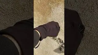 Come rompere il muro con un guanto