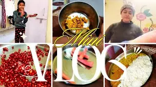 Indian Housewife Morning to Lunch Routine | Simple Home Vlog |