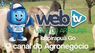 VT WEB VALE DO ARAGUAIA - O CANAL DO AGRONEG&Oacute;CIO  - ITAPIRAPU&Atilde; - GO