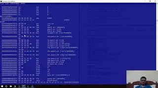 EagleFly 131 Formatting Output Stream