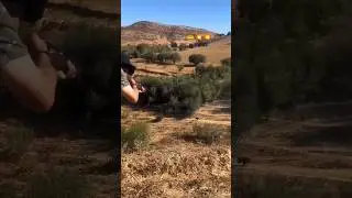 Я замер перед выстрелом #hunting #wildboar #wildlife #boarhunt
