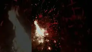 padma #viral #trending #viralvideo #viralshorts #pdma #viralvideo