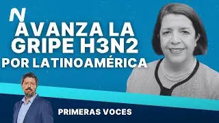 Hay un PICO EPIDÉMICO de la variante de la gripe H3N2 en América del Sur