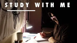 50 MINUTES STUDY WITH ME I Background noise, no music!