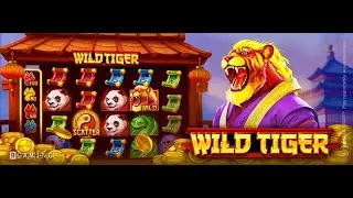 🐯 Wild Tiger: New Game Release + Special New Year Offer! 🎉
