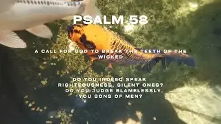 Psalm 58 with Wisdom's Appeal