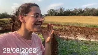 PLANTIO DE AGRIÃO CRESCENDO A TODO VAPOR | Mais de 20 canteiros