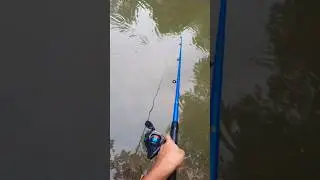 Plastic Frog Se Fishing #fishing #fishingequipment