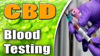 Lab Testing For CBD In The Blood - ALERT CBD Blood Testing
