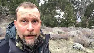 Mark Raycroft on the search for dusky grouse.