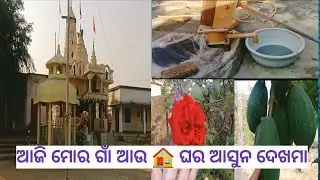 Aji Apanmanku mor sasughara gaon au ghar 🏡 buleinemi #Subrashmivarietyvideo#hometour#middleclasshome