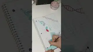 ASMR Make a front page for my science notebook with me 🧪🔬🥼📓 #asmr #frontpage #diy