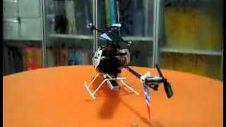 T-rex 100 Slowmo