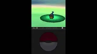 Pokémon version Noire : 5ème et 6ème badge (Rediff Live)