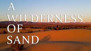 Exploring Southern California's Algodones Sand Dunes