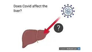 Effects of COVID-19 on the Liver
