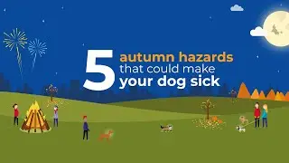 5 Autumn Hazards That Could Make Your Dog Sick