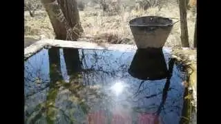 kfarmishki