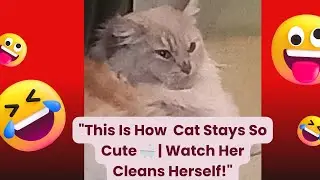 #cat face washing, # cat cleaning herself  This Is How  Cat Stays So Cute Watch Her Cleans Herself!