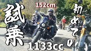 【Indian Scout Rogue】低身長バイク女子初めての試乗【CBR1000RR SC57後期 逆車】