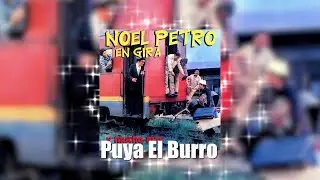 Puya El Burro - Noel Petro | Música Tropical | Cover Audio
