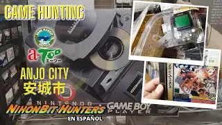 Game Hunting: Visita a Book Market A-too en Anjo City