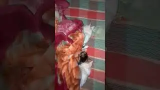 MAS BAIG Short YouTube Channel #cat #billi #billu #kitten #shorts #foryou