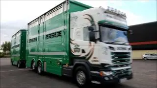 New Scania R580 with Pezzaioli Trailer & Body Twomey Livestock, Cork