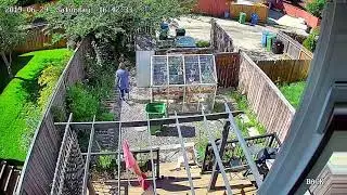 Part 1 - Preparing for a Foster Dog - Yard Cleanup Timelapse (Encouragement to clean)