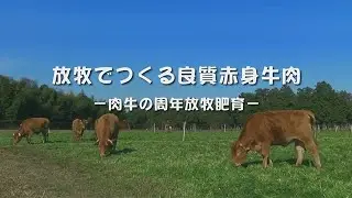 放牧で作る良質赤身牛肉～肉牛の周年放牧肥育