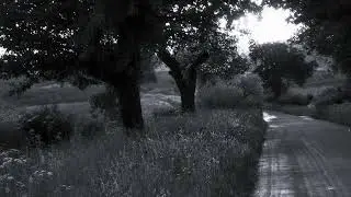 |free| Ｅｖｅｒｙｔｈｉｎｇ ｔｕｒｎｓ ｇｒａｙ | Experimental melancholic type beat | Alternative Hip-hop type beat