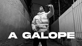 PAUL PARADOX - A GALOPE