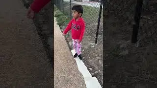 Hindi learning fun #tamil #funny #instagram #viralshort #nature #vadivelu #singapore #funnyshorts
