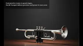 Bb Trumpet for Beginners | Brass Trumpet with Case & Mouthpiece for Students & Adults