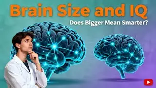 Brain Size and Intelligence: What Really Matters?