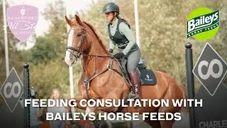 Консультация Гарольда по кормлению лошадей Baileys | Blackfort Equestrian All Star Academy