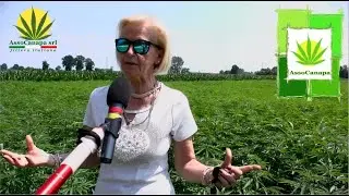Intervista ad Assocanapa: Chi Siamo e la Legge per la Canapa in Piemonte