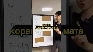 Урок корейского мата