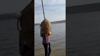 feeder casting on fishing rod | fish videos | feeder fishing videos #fishing #fish #shorts #carp