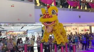 Causeway Point ~ Lion Leaping on High Poles Performance by 新加坡文揚龍獅运动协會 19/Jan 1PM