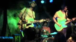 Pink Fuzzy Animals - Wings on Fire
