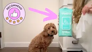 Review: Multipurpose pet wipes on Amazon