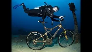 The Great Pacific Garbage Patch Can We Really Clean Up Our Oceans?