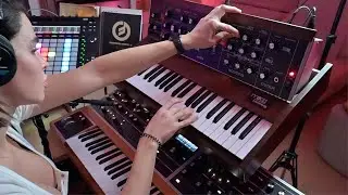 The Minimoog Model D (2022 Reissue) or Why I Suspect Someone at Moog Has Been Reading My Mind