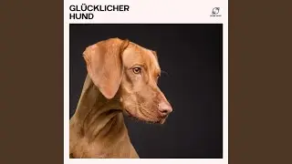 Solfeggio Frequenzen f&uuml;r Haustiere