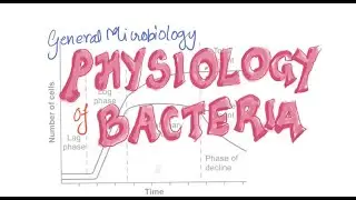 microbiology lecture | PHYSIOLOGY OF BACTERIA