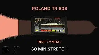 Roland TR-808 Ride Cymbal (1 HOUR)
