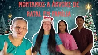 MONTAMOS A ÁRVORE DE NATAL EM FAMÍLIA| Criando tradição 🎄🎄