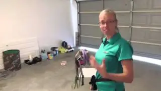 Penny the Pug learning focus and distraction skills