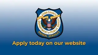 Cobb County Animal Services Kennel Promotional Video